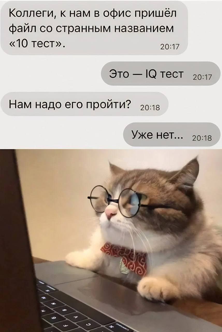 Пятничный юмор — illustration