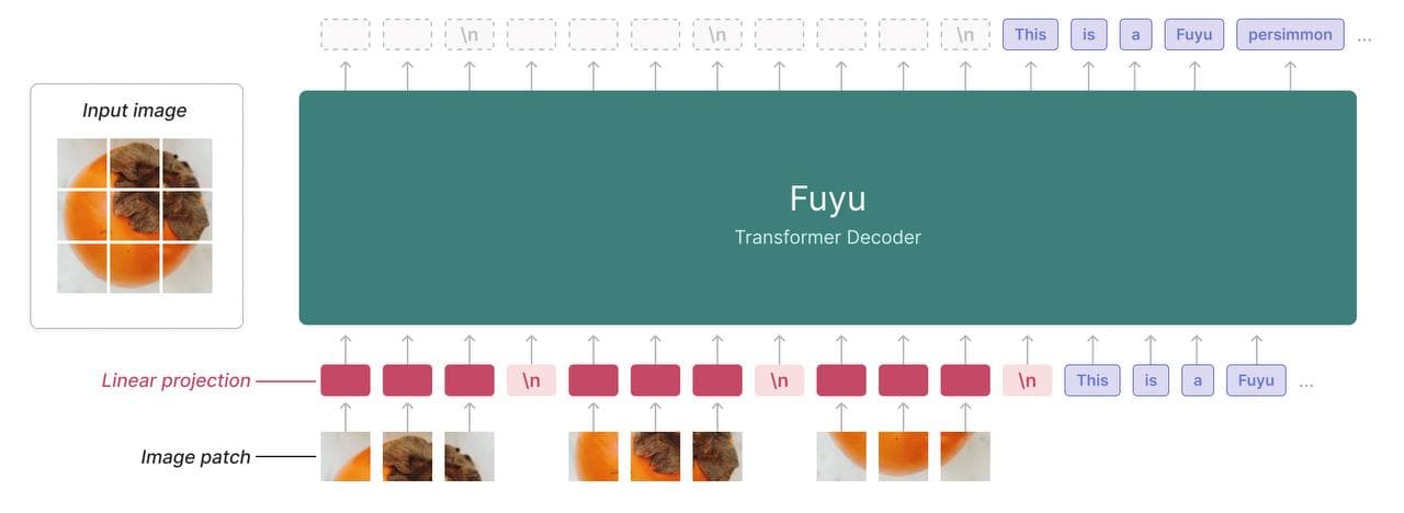 New Fuyu-8B Model from Adept AI — illustration