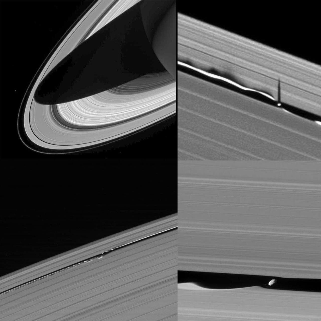 Daphnis Creates Waves in Saturn's Rings — illustration