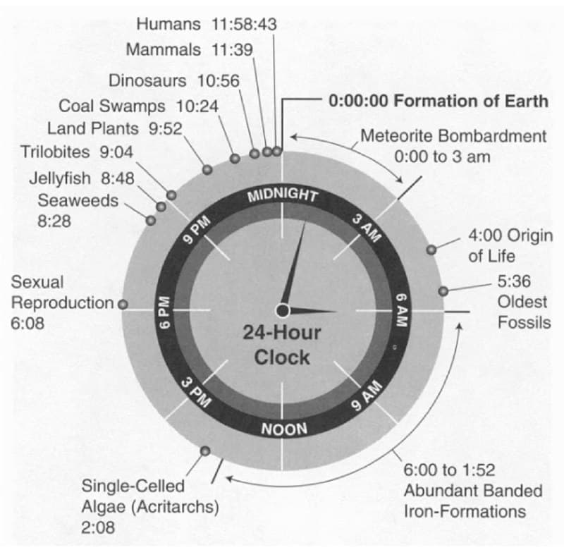 Interesting Fact — illustration