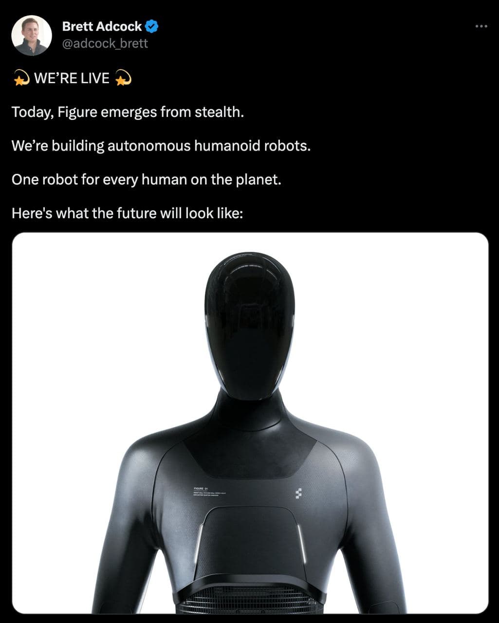 Launch of Figure: Humanoid Robots — illustration